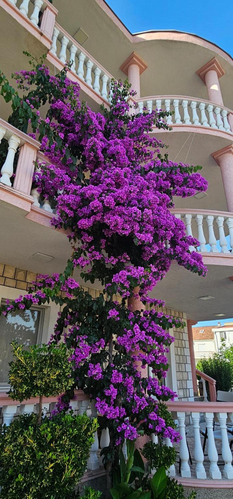 Kurt Apartaments Ülgün Dış mekan fotoğraf