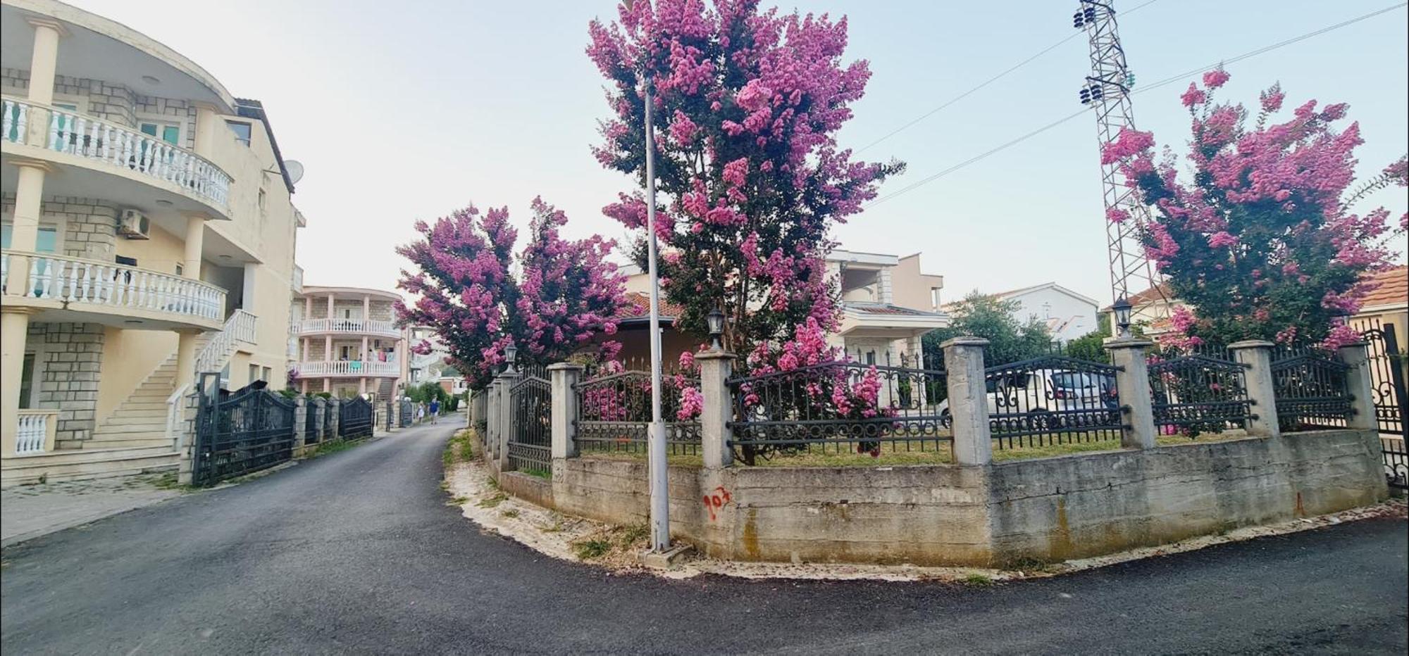 Kurt Apartaments Ülgün Dış mekan fotoğraf